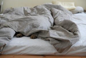 快眠のためにはベッドと布団どっちが効果的？