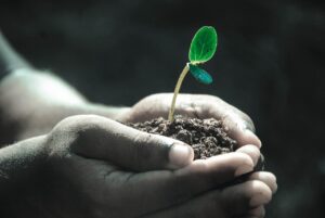 枕の寿命を知るためのサインは何ですか？