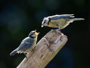 肩こりに悩むあなたに最適なマットレスは？