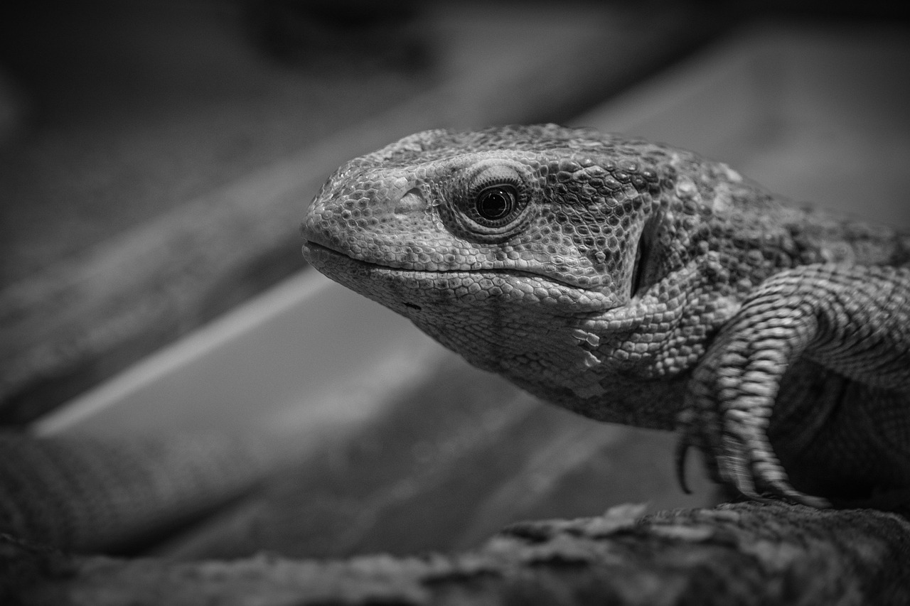 ナイトキャップは安眠にどのような効果があるのか？