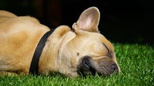 睡眠に最適な用アイマスクのおすすめは？