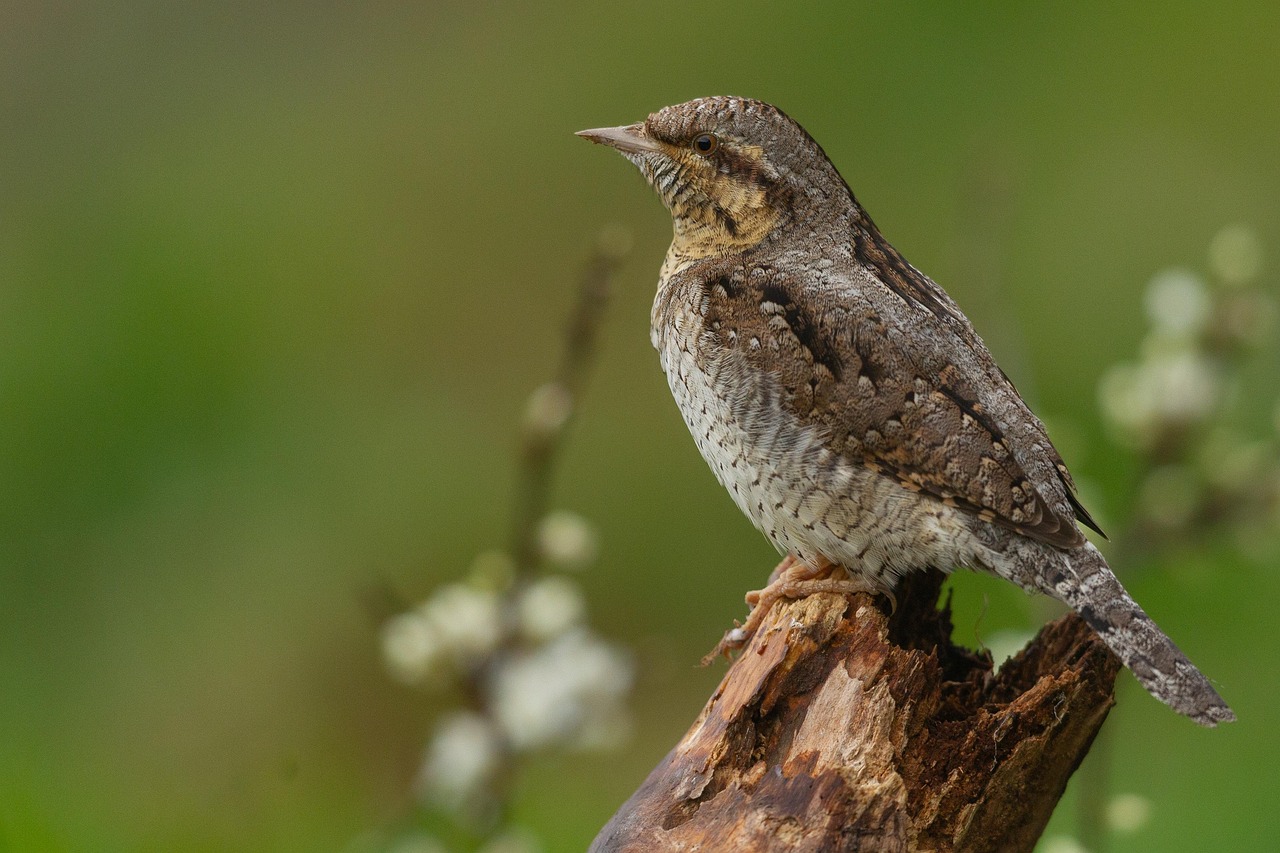 枕の高さを調整することで肩こり改善は可能ですか？
