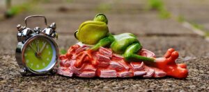 睡眠の質を向上させるサプリのおすすめは？